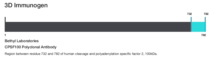 CPSF100 Polyclonal Antibody