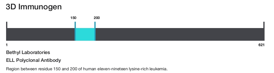 ELL Polyclonal Antibody