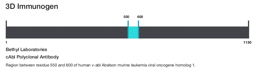 cAbl Polyclonal Antibody