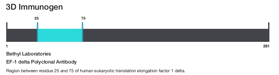 EF-1 delta Polyclonal Antibody