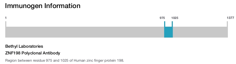 ZNF198 Polyclonal Antibody