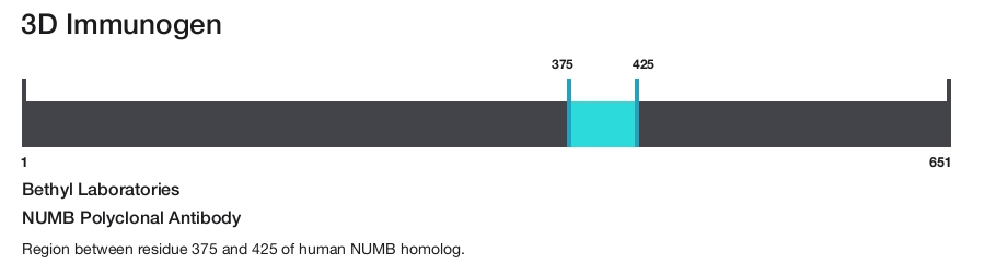NUMB Polyclonal Antibody