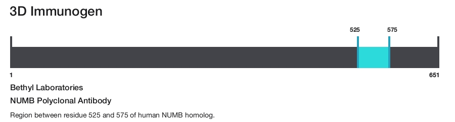 NUMB Polyclonal Antibody