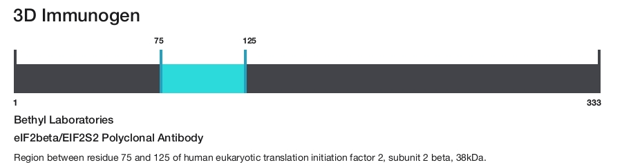 eIF2beta/EIF2S2 Polyclonal Antibody