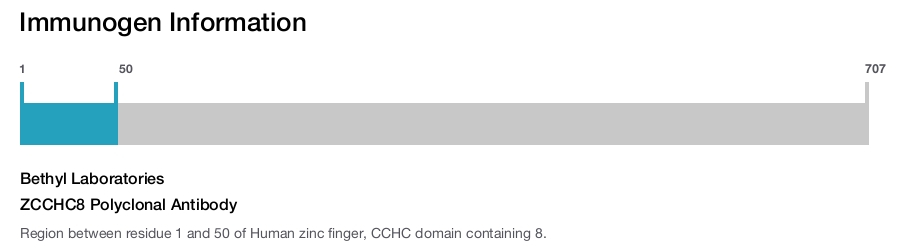 ZCCHC8 Polyclonal Antibody