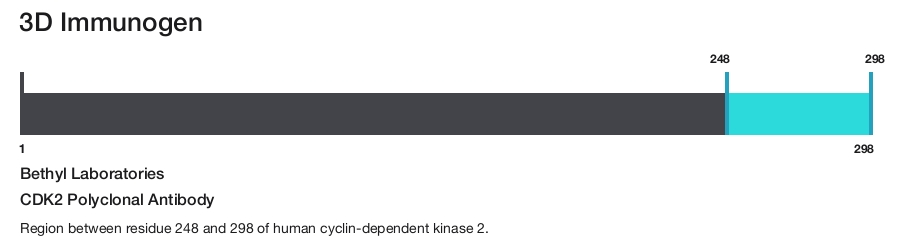CDK2 Polyclonal Antibody