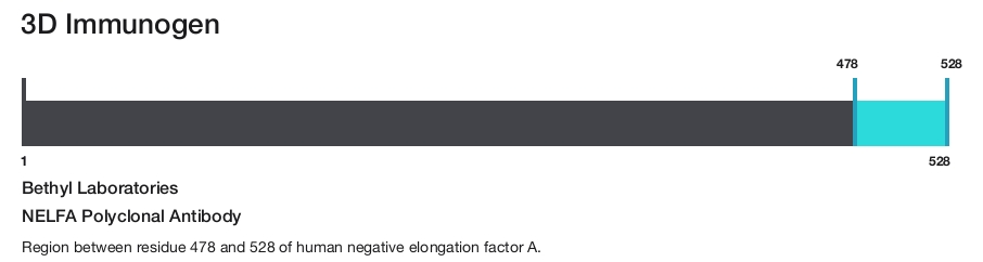NELFA Polyclonal Antibody