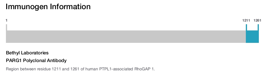 PARG1 Polyclonal Antibody