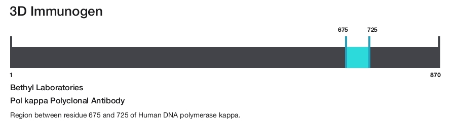 Pol kappa Polyclonal Antibody