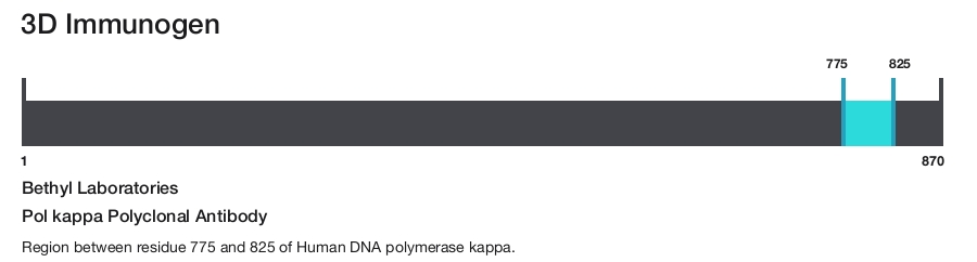 Pol kappa Polyclonal Antibody