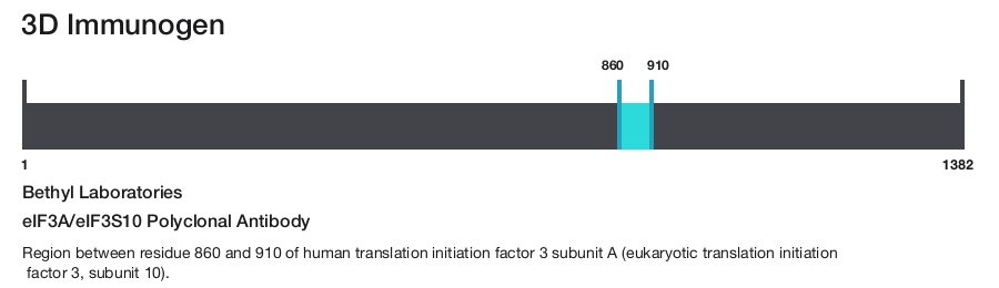 eIF3A/eIF3S10 Polyclonal Antibody
