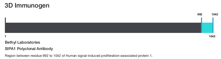SIPA1 Polyclonal Antibody