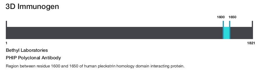 PHIP Polyclonal Antibody