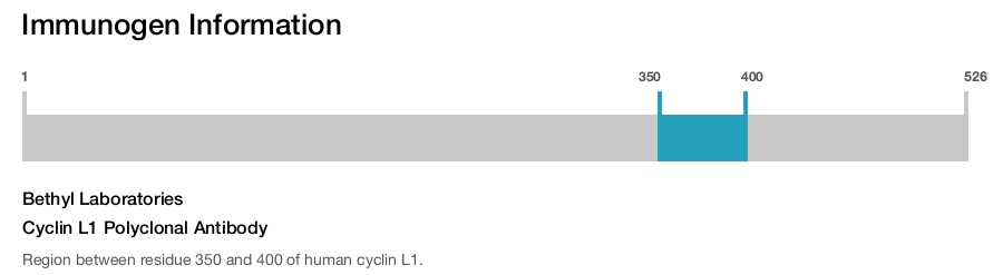Cyclin L1 Polyclonal Antibody