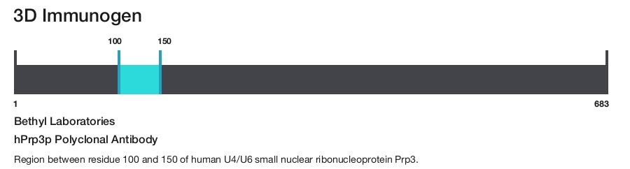hPrp3p Polyclonal Antibody
