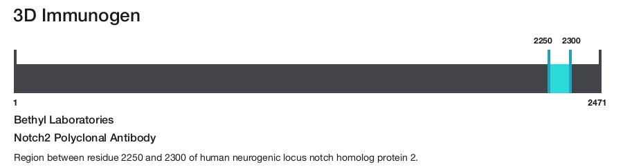 Notch2 Polyclonal Antibody