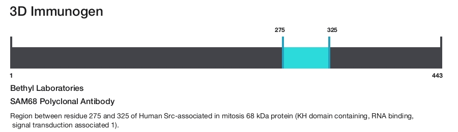 SAM68 Polyclonal Antibody