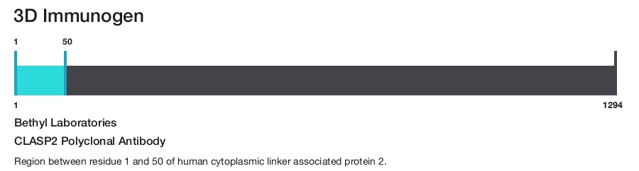 CLASP2 Polyclonal Antibody
