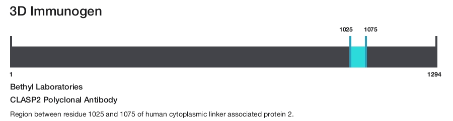 CLASP2 Polyclonal Antibody