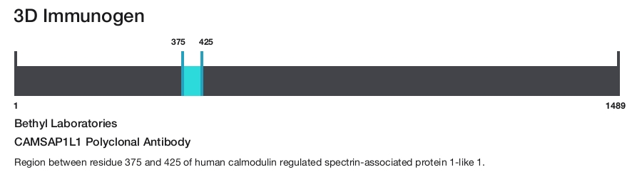 CAMSAP1L1 Polyclonal Antibody