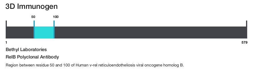 RelB Polyclonal Antibody