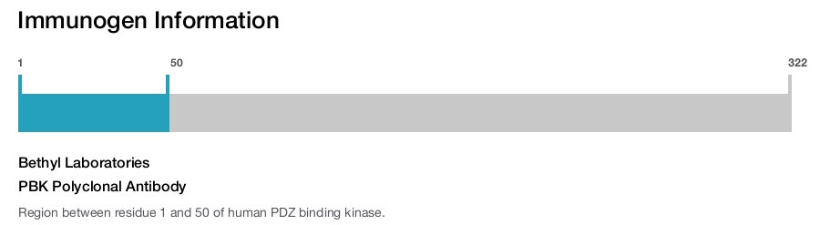 PBK Polyclonal Antibody