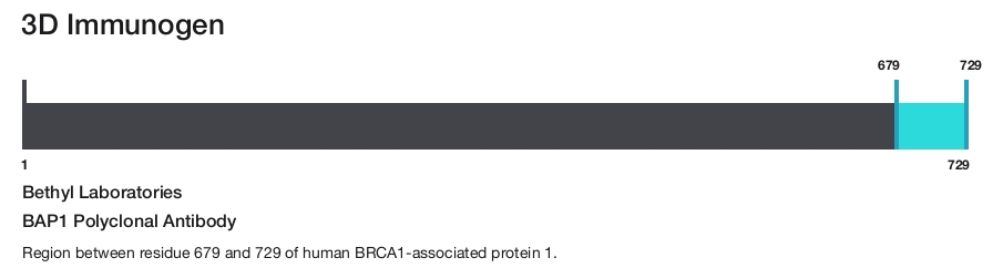 BAP1 Polyclonal Antibody