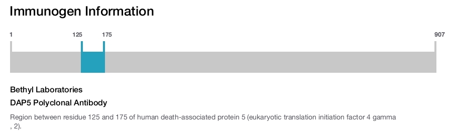 DAP5 Polyclonal Antibody