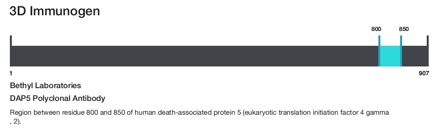 DAP5 Polyclonal Antibody