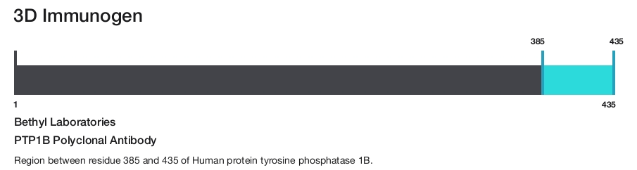 PTP1B Polyclonal Antibody