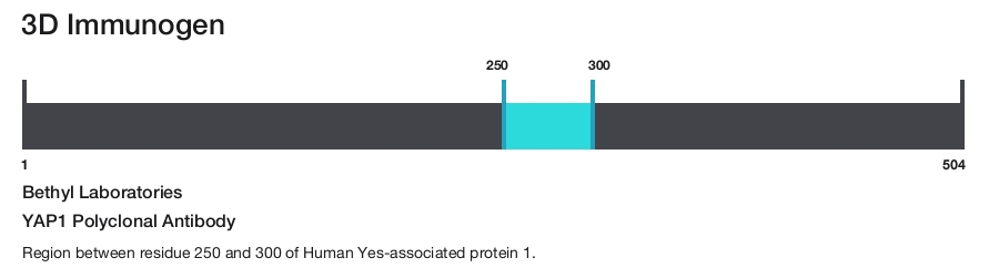 YAP1 Polyclonal Antibody