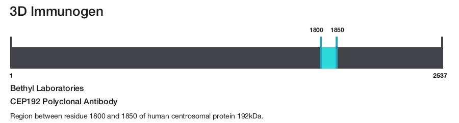CEP192 Polyclonal Antibody