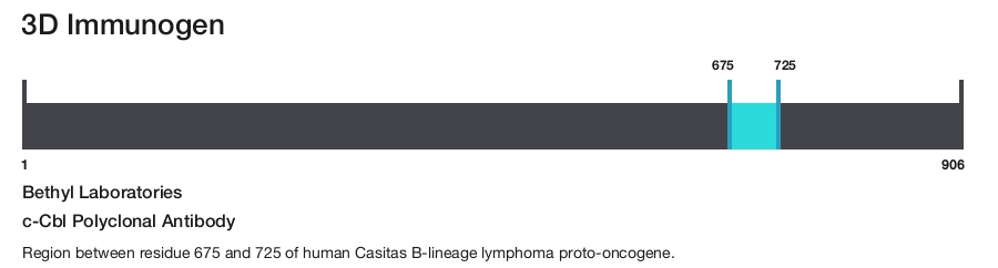 c-Cbl Polyclonal Antibody