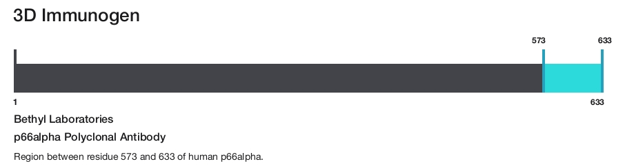 p66alpha Polyclonal Antibody