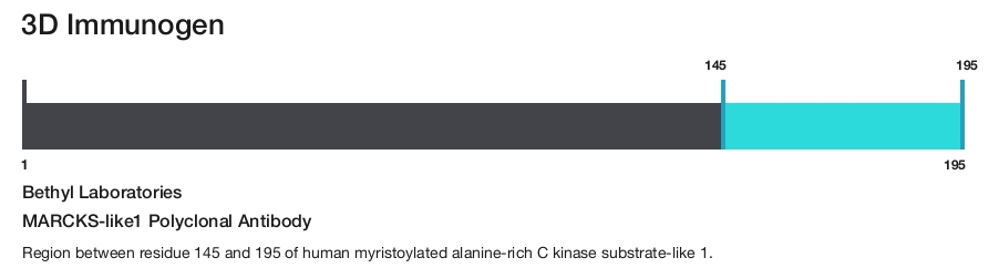 MARCKS-like1 Polyclonal Antibody