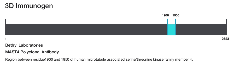 MAST4 Polyclonal Antibody