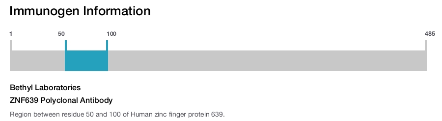ZNF639 Polyclonal Antibody
