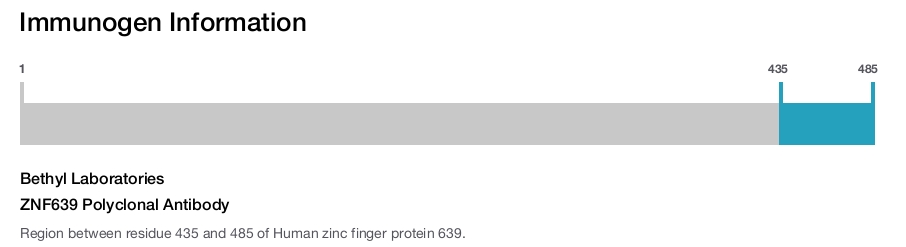 ZNF639 Polyclonal Antibody