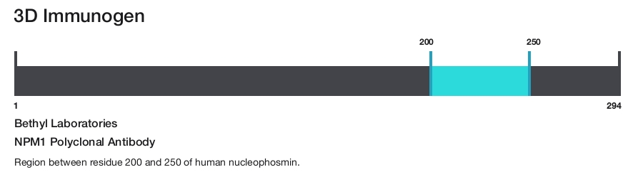 NPM1 Polyclonal Antibody