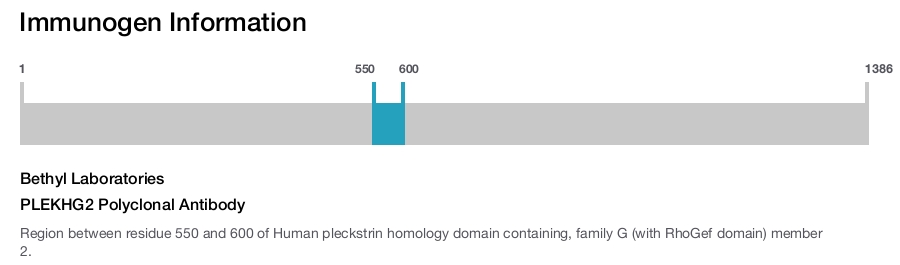 PLEKHG2 Polyclonal Antibody