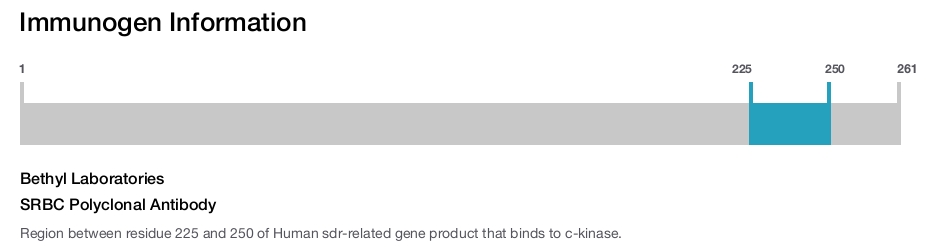 SRBC Polyclonal Antibody