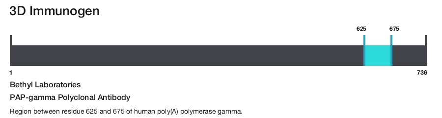 PAP-gamma Polyclonal Antibody