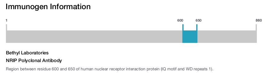 NRIP Polyclonal Antibody