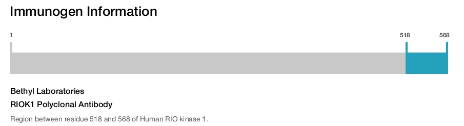 RIOK1 Polyclonal Antibody