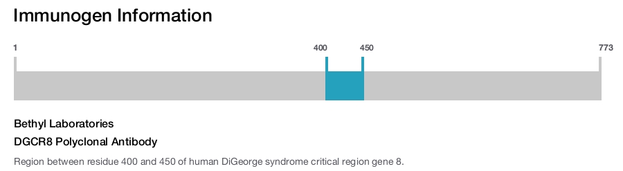DGCR8 Polyclonal Antibody