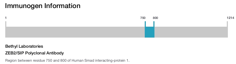 ZEB2/SIP Polyclonal Antibody