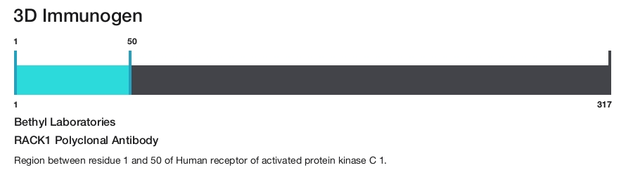 RACK1 Polyclonal Antibody
