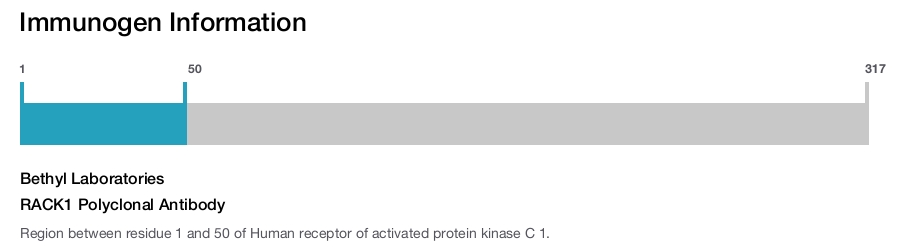 RACK1 Polyclonal Antibody