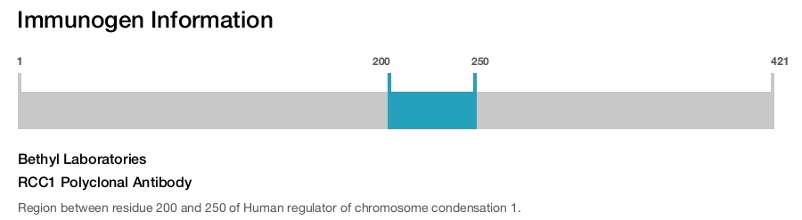 RCC1 Polyclonal Antibody