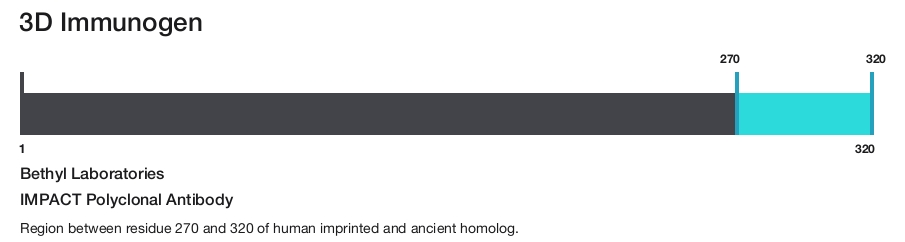 IMPACT Polyclonal Antibody